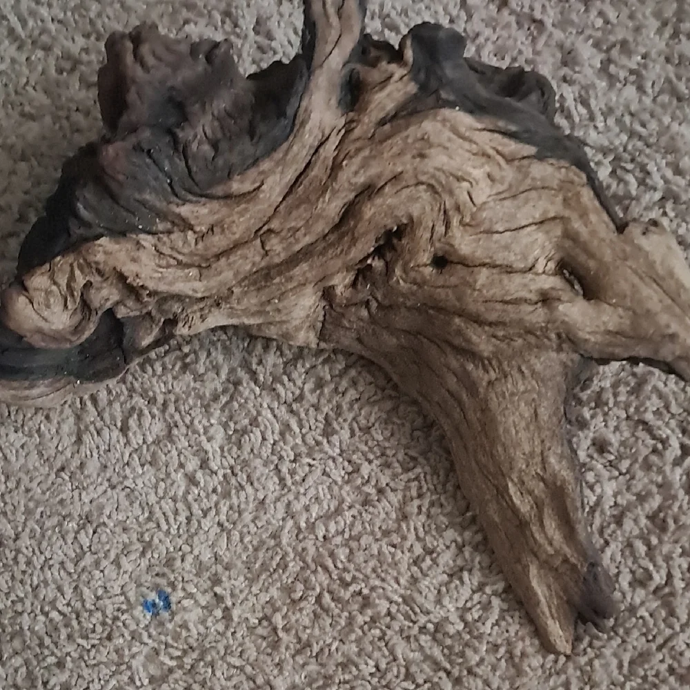 2 Natural Driftwood for Reptile Habitats